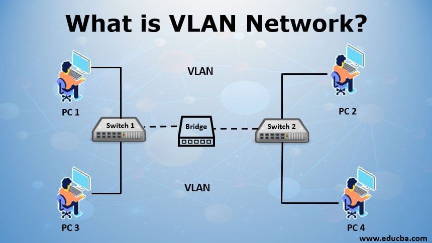 VLAN for business